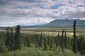 0443  Chugach Mt.
